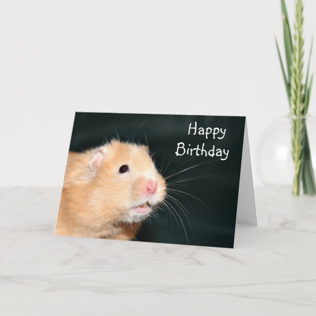 Cartão Happy Birthday hamster (Frente)