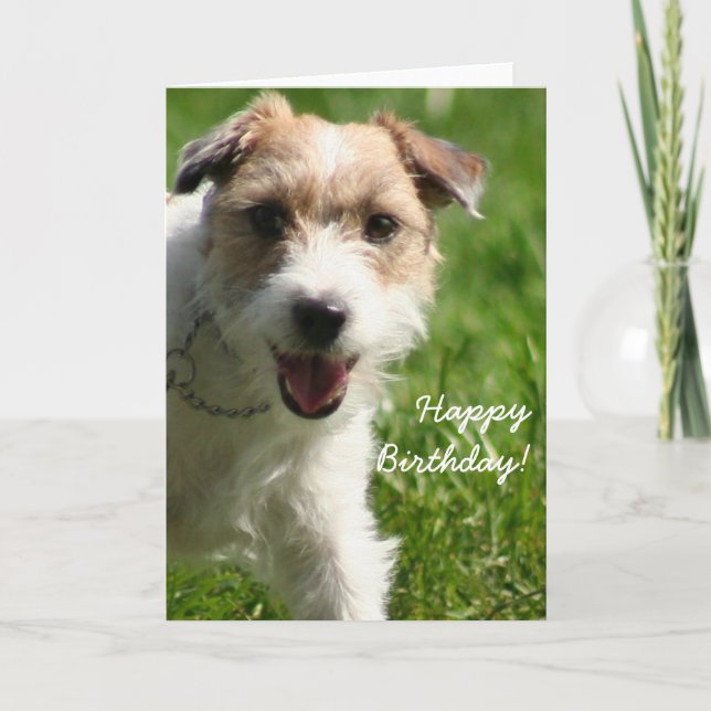 Cartão Happy Birthday Jack Russell Terrier greeting card (Frente)