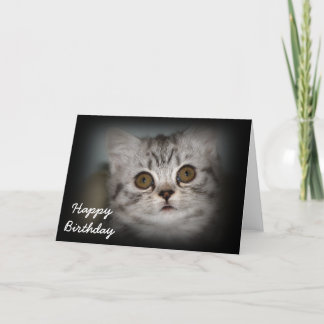 Cartão Happy Birthday Kitten Card