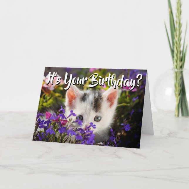 Cartão Happy Birthday Kitten Flowers (Frente)