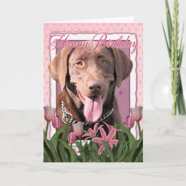 Cartão Happy Birthday - Labrador - Chocolate (Frente)