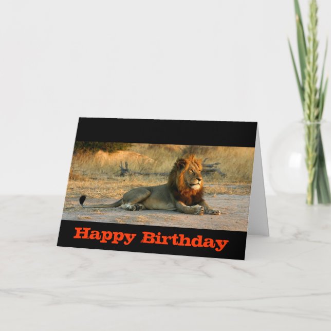 Cartão Happy Birthday Lion Sunset (Frente)