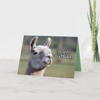 Cartão Happy Birthday llama | llama happy birthday