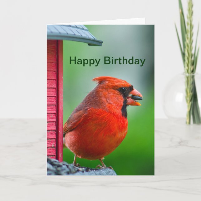 Cartão Happy Birthday - male cardinal (Frente)