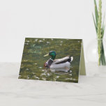 Cartão Happy Birthday Mallard Duck Card by Janz<br><div class="desc">Custom Greeting Cards by Janz © 2008-2017 Jan Fitzgerald. All rights reserved. Graphic Design,  Artwork & Photography by Jan & Michael Fitzgerald... 3 copies SOLD to date... ;-)</div>