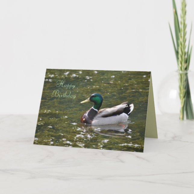 Cartão Happy Birthday Mallard Duck Card by Janz (Frente)