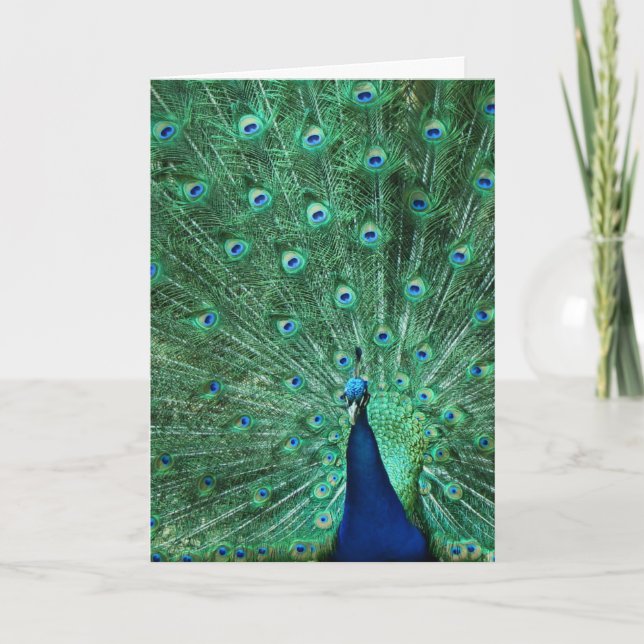 Cartão Happy Birthday Peacock Greeting Card (Frente)