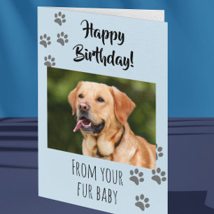 Cartão Happy Birthday Photo Dog Cat Pet Fur Baby