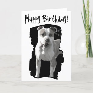 Cartão Happy birthday pitbull greeting card