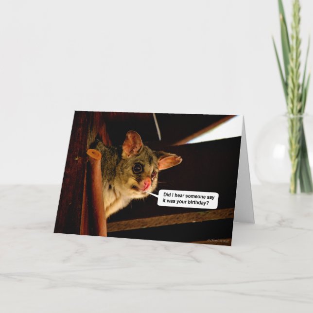 Cartão Happy Birthday Possum cute Birthday card Opossum (Frente)