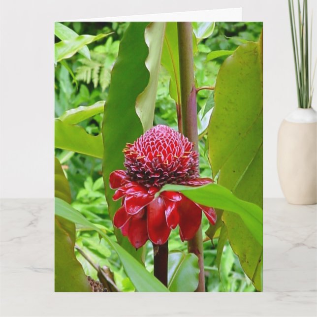 Cartão Happy Birthday postcard from Hawaii (Frente)