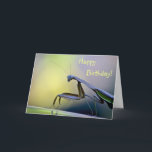 Cartão Happy Birthday Praying Mantis<br><div class="desc">This birthday card features a praying mantis posing for his portrait.</div>