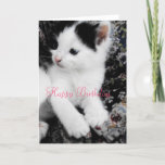 Cartão Happy Birthday Pretty Manx Kitten<br><div class="desc">Lovely Birthday card featuring a pretty little girl manx kitten.</div>