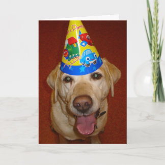 Cartão Happy Birthday Prima- Blank Inside