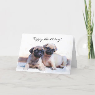 Cartão Happy Birthday Pug Greeting Card
