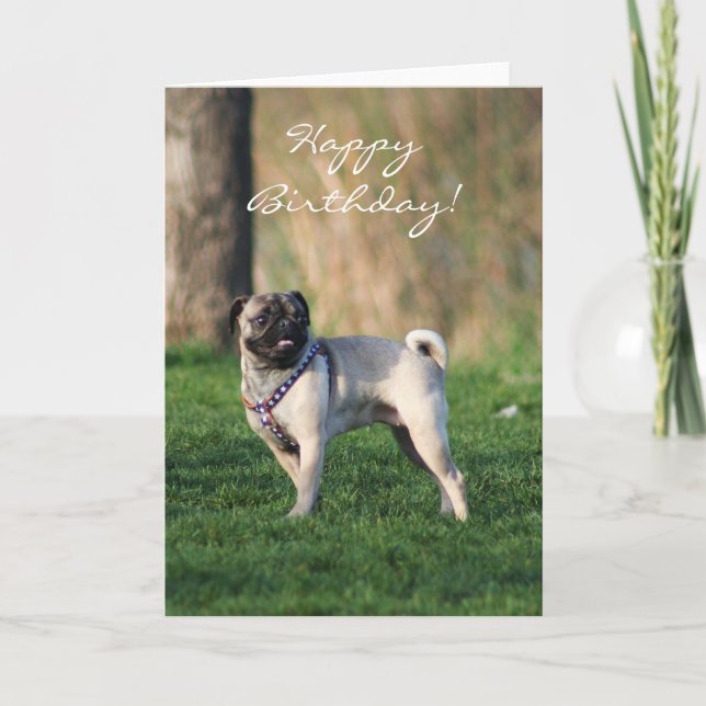 Cartão Happy birthday Pug in the park greeting card (Frente)
