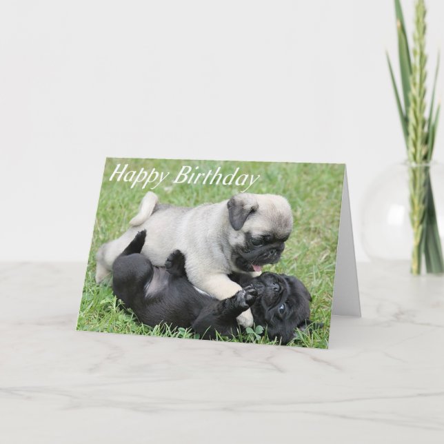 Cartão Happy Birthday Pug Puppy Dog Greeting Card (Frente)