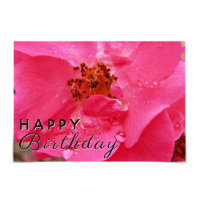 "Happy Birthday" Raindrop Pink Rose Card