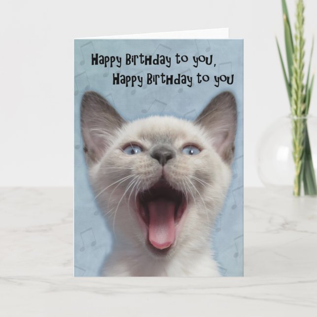 Cartão Happy Birthday Siamese Kitten Card (Frente)