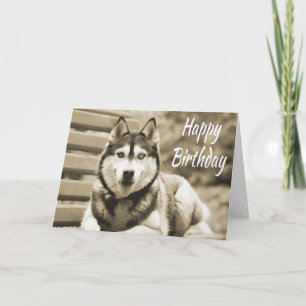 Cartão Happy Birthday Siberian Husky Puppy Dog