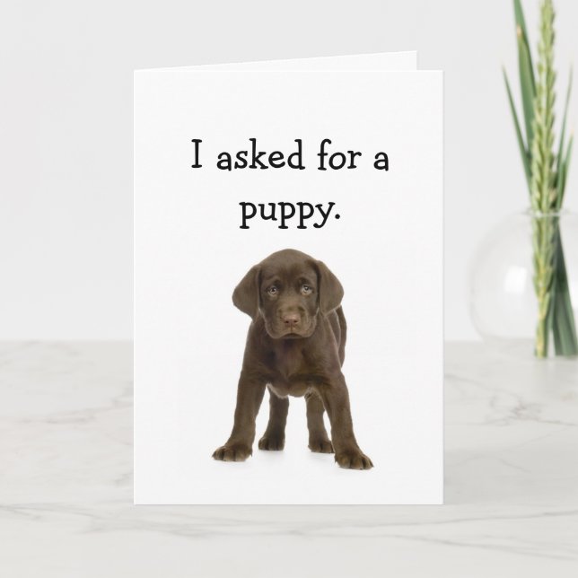 Cartão Happy Birthday Sis! (Frente)