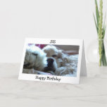 CARTÃO HAPPY BIRTHDAY SIS-TAKE NAP/DO WHATEVER U WISH<br><div class="desc">THIS COCKER SPANIEL WILL WISH YOUR 'SIS" A HAPPY BIRTHDAY AND TELL HER SHE DESERVES TO DO WHATEVER SHE WANTS ON "HER SPECIAL DAY"</div>