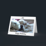 CARTÃO HAPPY BIRTHDAY SIS-TAKE NAP/DO WHATEVER U WISH<br><div class="desc">THIS COCKER SPANIEL WILL WISH YOUR 'SIS" A HAPPY BIRTHDAY AND TELL HER SHE DESERVES TO DO WHATEVER SHE WANTS ON "HER SPECIAL DAY"</div>
