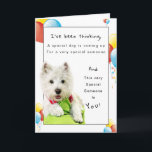 Cartão Happy Birthday Special Friend, Westie and Balloons<br><div class="desc">Isn't wonderful to have a best friend? Celebrate their Birthday by giving them a special card on their special day. On the front of card is a White West Highland Terrier laying on a green pillows along with yellow, red and blue party balloons surrounding the Westie on the white background....</div>