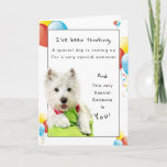Cartão Happy Birthday Special Friend, Westie and Balloons<br><div class="desc">Isn't wonderful to have a best friend? Celebrate their Birthday by giving them a special card on their special day. On the front of card is a White West Highland Terrier laying on a green pillows along with yellow, red and blue party balloons surrounding the Westie on the white background....</div>