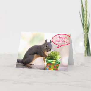 Cartão Happy Birthday Squirrel