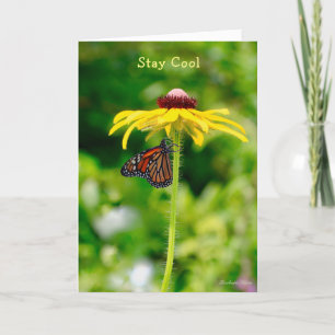 Cartão Happy Birthday: Stay cool