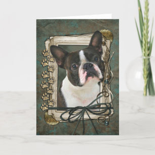 Cartão Happy Birthday - Stone Paws - Boston Terrier