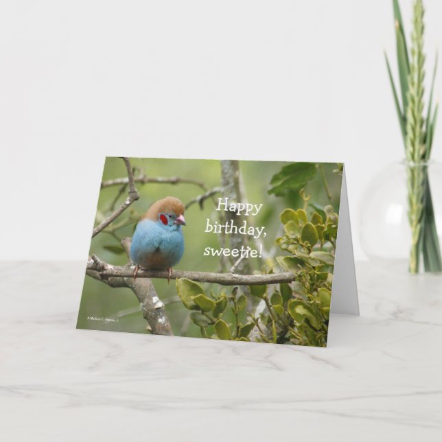 Cartão Happy Birthday, Sweetie Greeting Card (Frente)