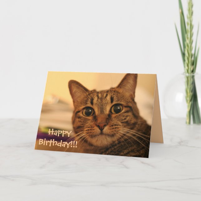 Cartão Happy Birthday Tabby Cat Card (Frente)