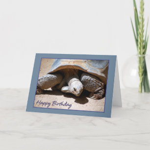 Cartão Happy Birthday Tortoise Greeting Card