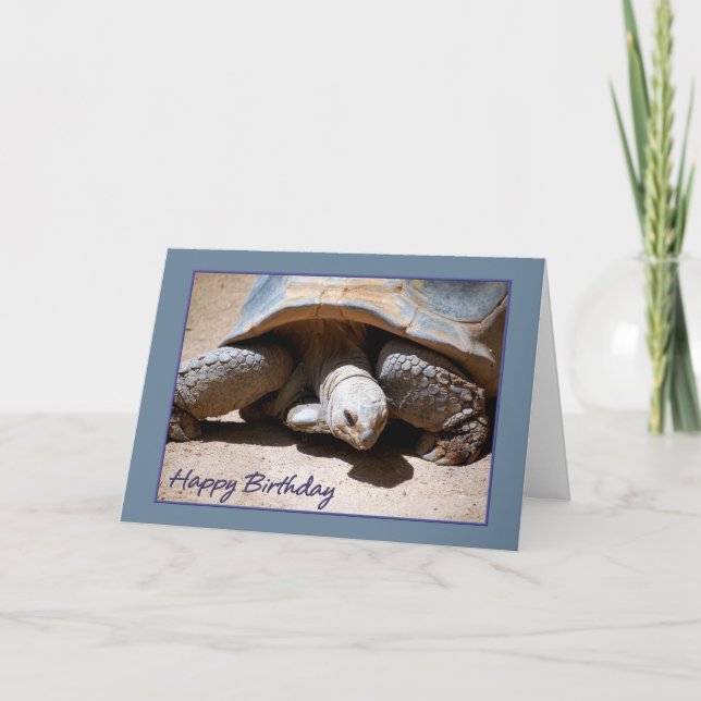 Cartão Happy Birthday Tortoise Greeting Card (Frente)