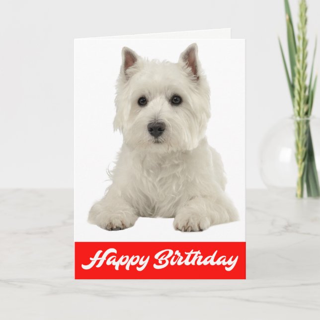 Cartão Happy Birthday White Highland Terrier Puppy Dog (Frente)
