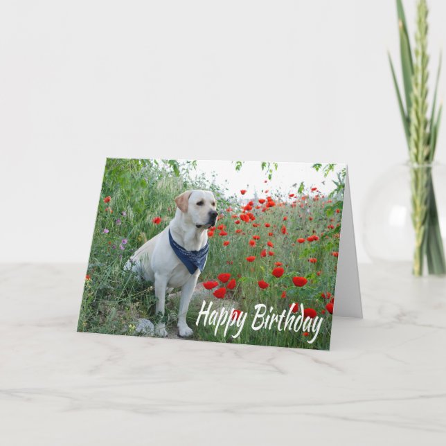 Cartão Happy Birthday Yellow Labrador Lab Puppy Dog Card (Frente)
