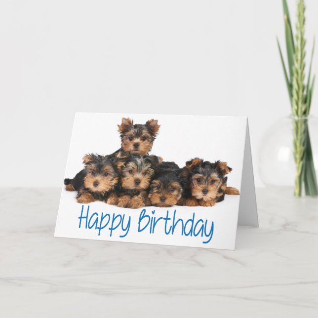 Cartão Happy Birthday Yorkshire Terrier Puppy Dog Blue (Frente)