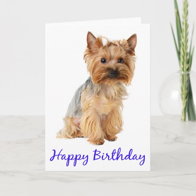 Cartão Happy Birthday Yorkshire Terrier Puppy Dog Card (Frente)