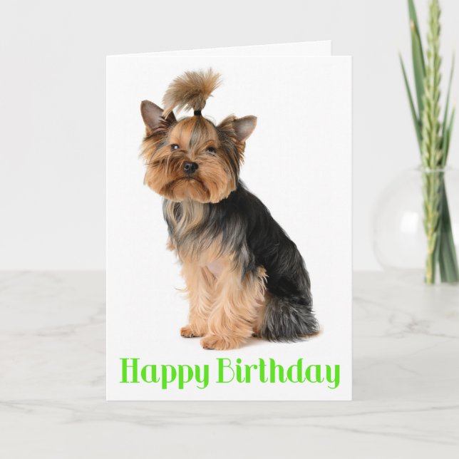 Cartão Happy Birthday Yorkshire Terrier Puppy Dog Verse (Frente)