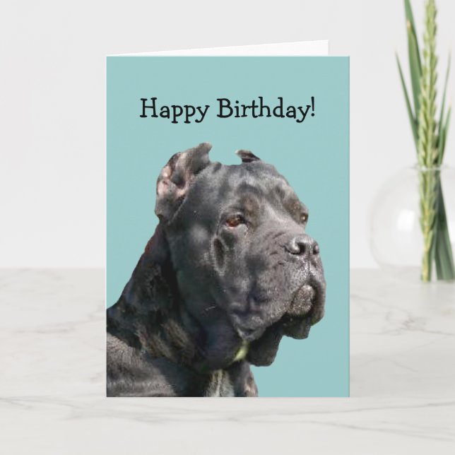 Cartão Happy Bithday Cane Corso greeting card (Frente)