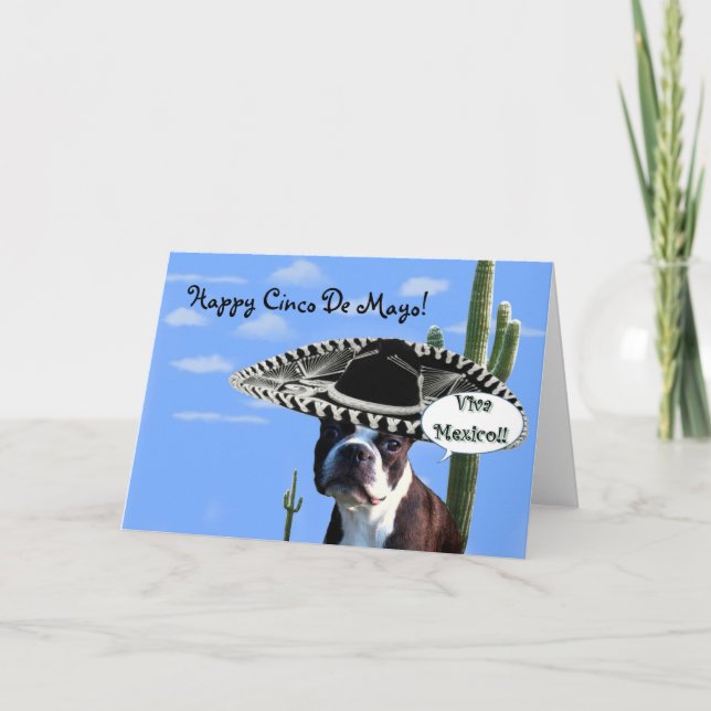 Cartão Happy cinco de Mayo boston terrier greeting card (Frente)