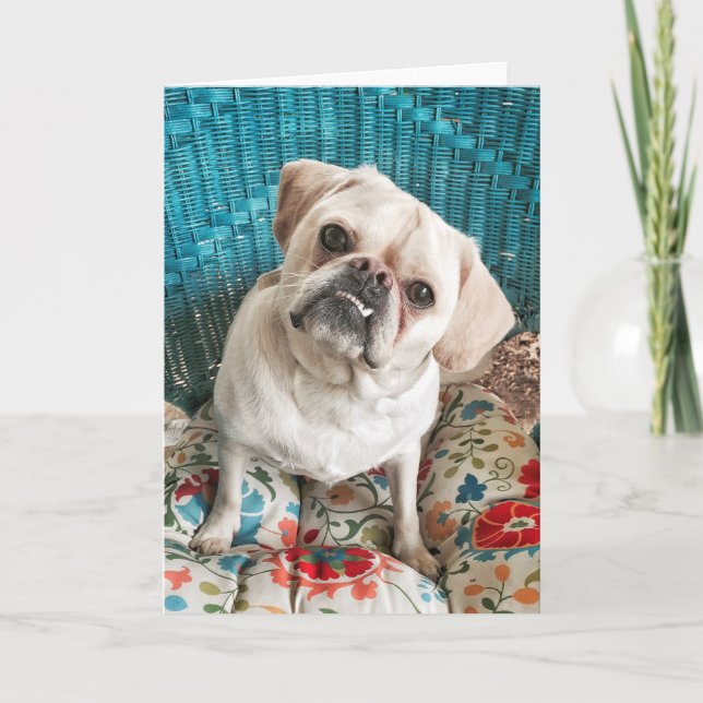 Cartão Happy Dog Greeting Card (Frente)
