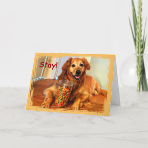 Cartão Happy Dog with Quarantine Treats Card