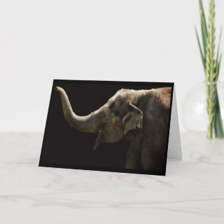 Cartão Happy Elephant-Blank Card