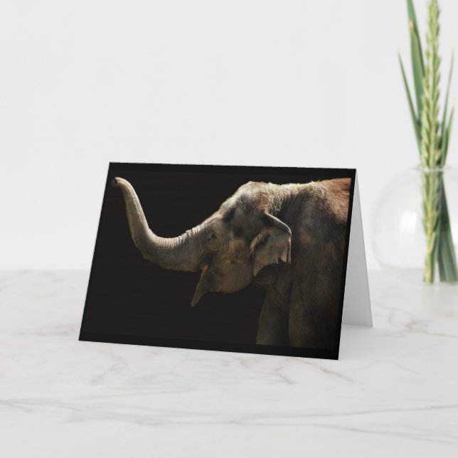 Cartão Happy Elephant-Blank Card (Frente)