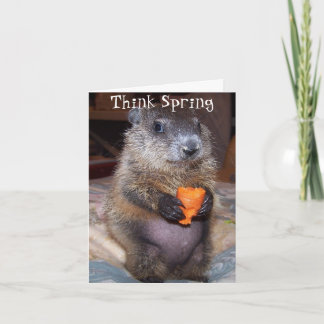 Cartão Happy Groundhog Day Card with Baby Maude