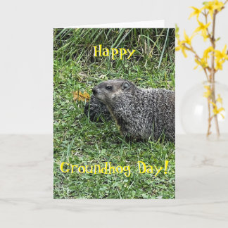 Cartão Happy Groundhog Day, custom greeting cards