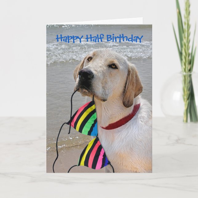 Cartão Happy Half Birthday Labrador Retriever (Frente)